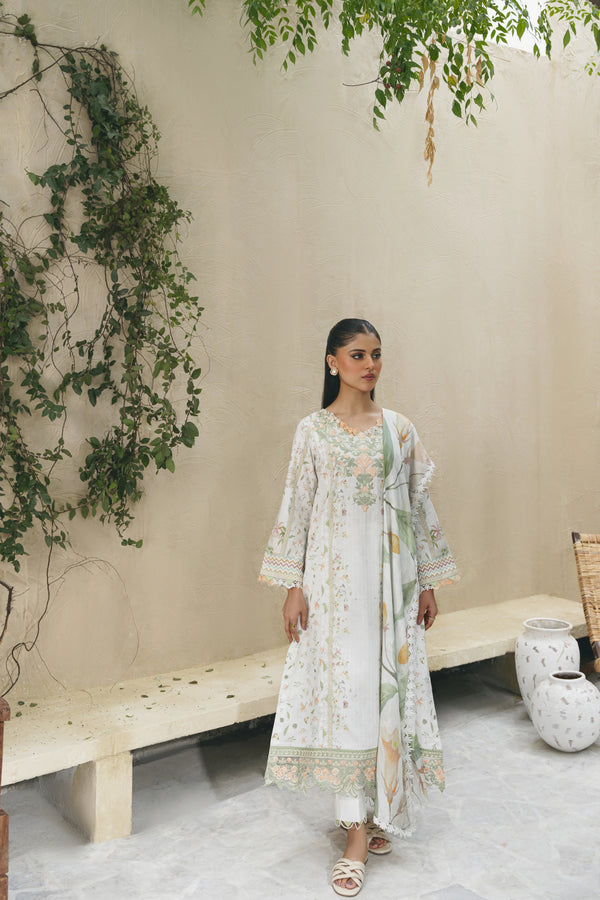 Shezlin chikankari unstitched lawn suits 2025 - Aria(Af-10)