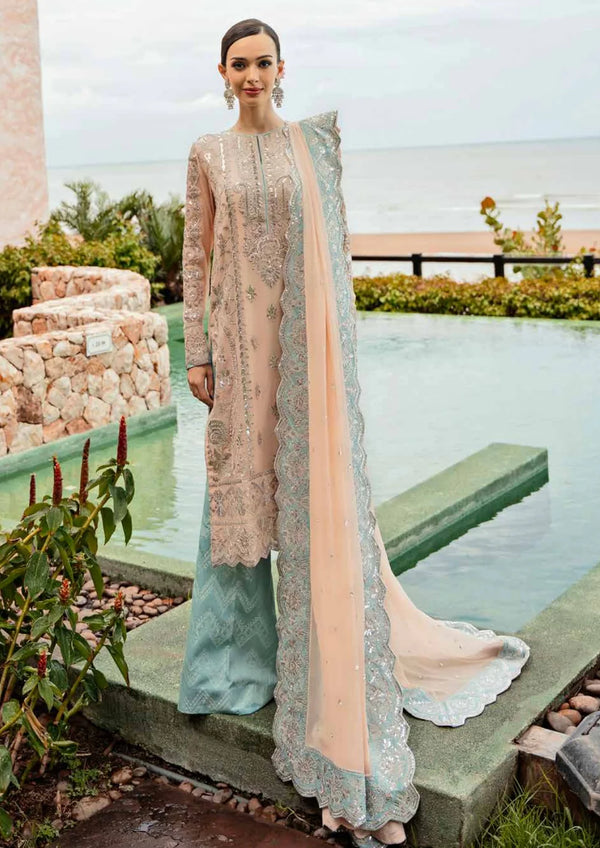 Freesia Luxury Premium Suits 2024