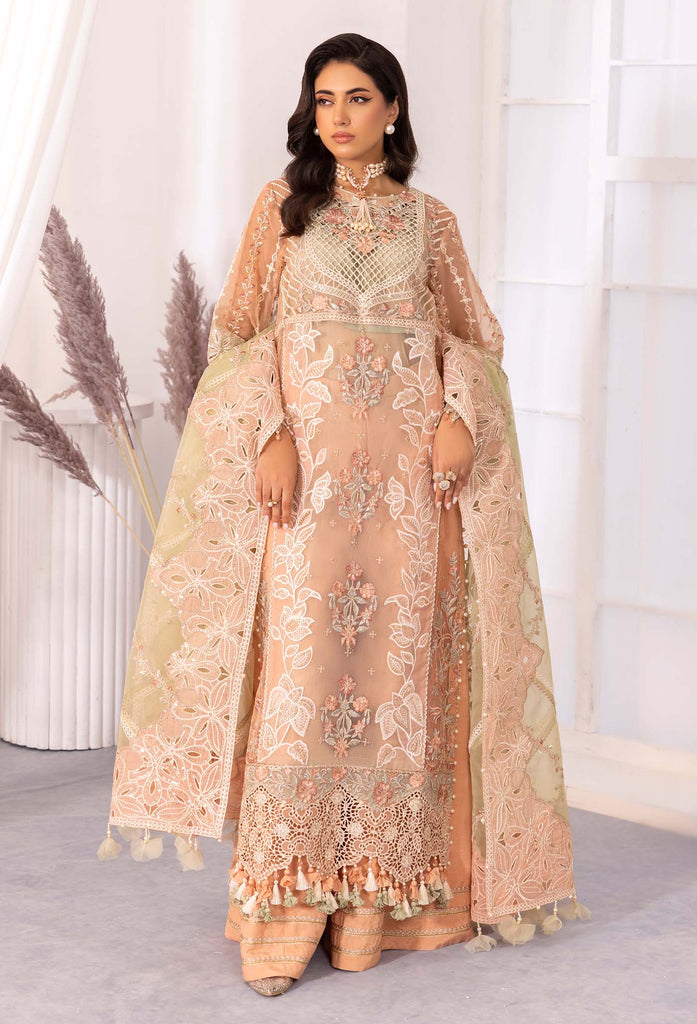 Adan's Chantelle Chiffon Suits | 2024 | APRICOT AGATE