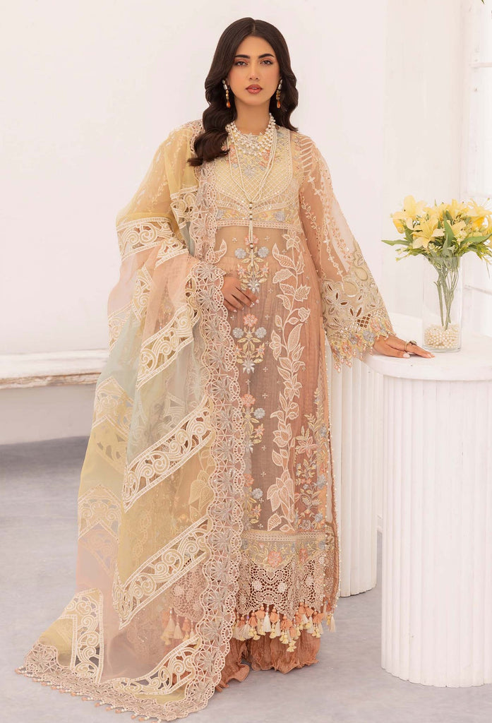 Adan's Chantelle Chiffon Suits | 2024 | BLUSH OPAL